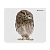 Коврик для мыши Defender Wild Animals 220x180x2мм ассорти (1/20/200)