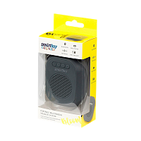 Портативная колонка Smartbuy BLOOM bluetooth 5.0 черный (1/30)