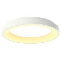 Светильник настенно-потолочный Camelion LBS-7741 48W LED смена цветовой температуры пульт ДУ (1/10)