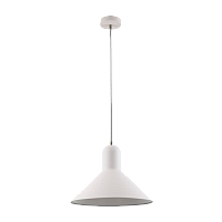 Светильник потолочный Camelion PL-602L Rome 40W 230V E27 подвес белый