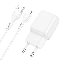 Сетевое З/У HOCO C96A 1USB 2.1A белый (1/27/162) 