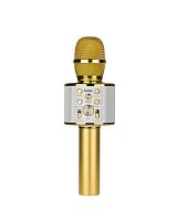 Микрофон HOCO BK3 динамический 72 дБ bluetooth 4.2 microSD золотой (1/20)
