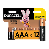 Батарейка Duracell Basic LR03 AAA BL12 Alkaline 1.5V (12/144/48960)